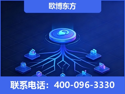 东兴-全链豆包优化